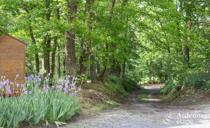 Luxury villa in Aubel for 11 persons in the Ardennes