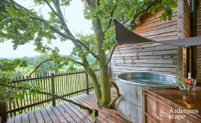 Exceptional treehouse in Bertrix in the Ardennes