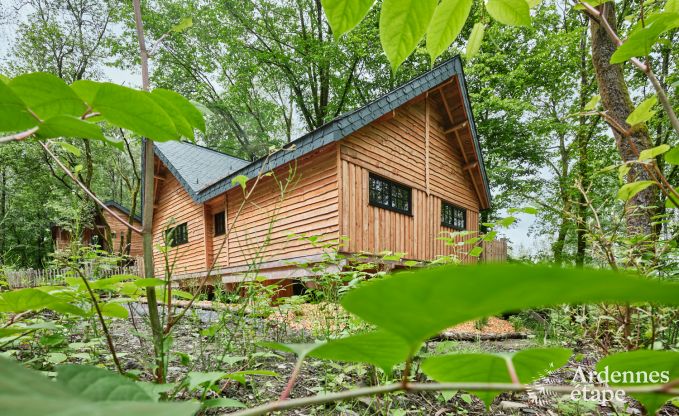 Treehouse in Bertrix, Ardennes