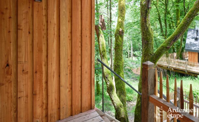 Beautiful wooden stilt house Bertrix, Ardennes