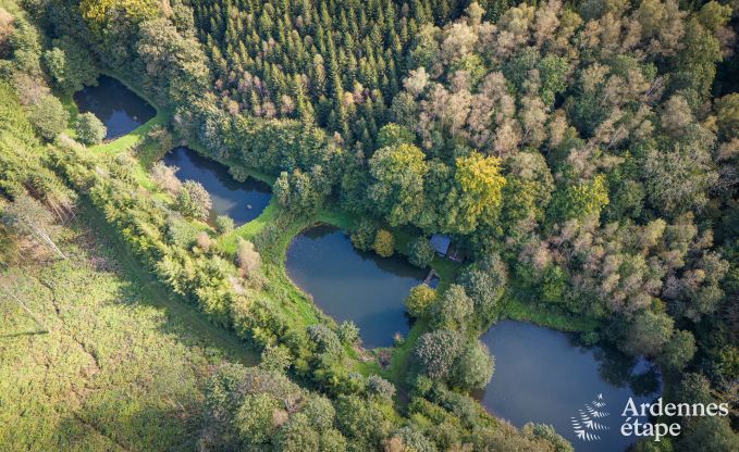 Luxury villa in Bertrix for 15 persons in the Ardennes