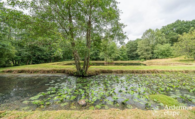 Holiday home with swimming pool and fishing pond in Couvin, Ardennes