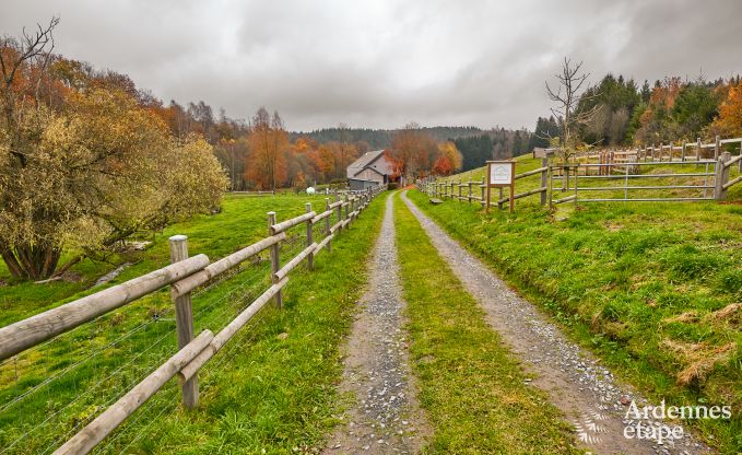 Holiday cottage in Fauvillers for 10 persons in the Ardennes