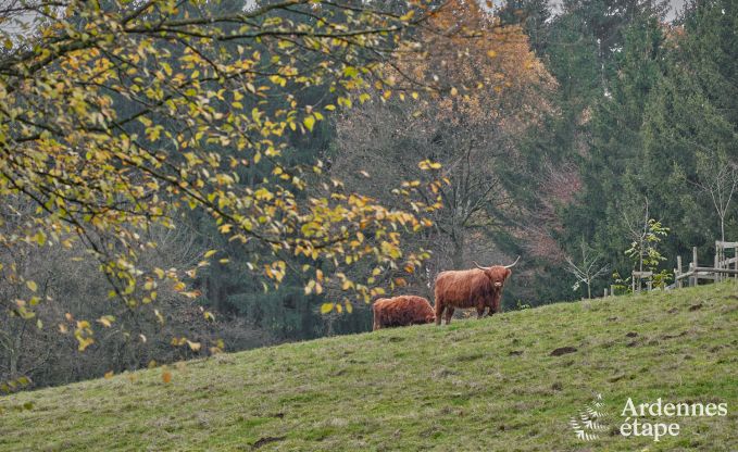 Holiday cottage in Fauvillers for 10 persons in the Ardennes