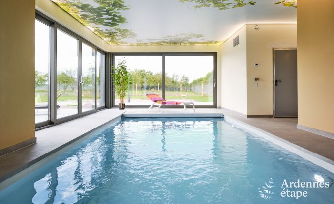 Holiday home with indoor pool in Froidchapelle, Ardennes