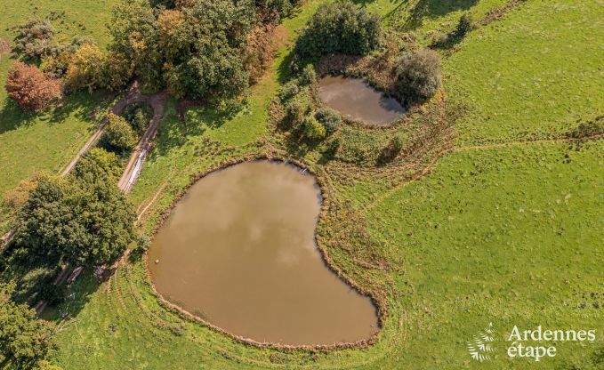 Cozy and dog-friendly holiday home for 4 people in Gesves, Ardennes