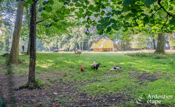 Cozy and dog-friendly holiday home for 4 people in Gesves, Ardennes