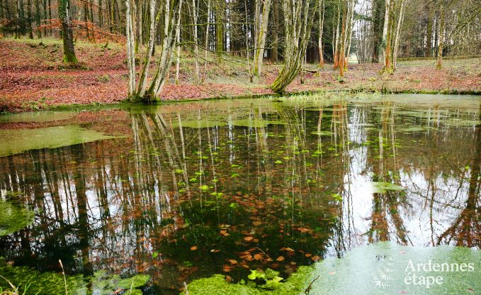 Castle in Gouvy for 32 persons in the Ardennes