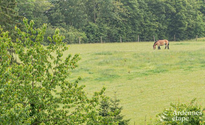 Holiday home in Man for 14 people near Durbuy with swimming pool, bar, playroom and private garden