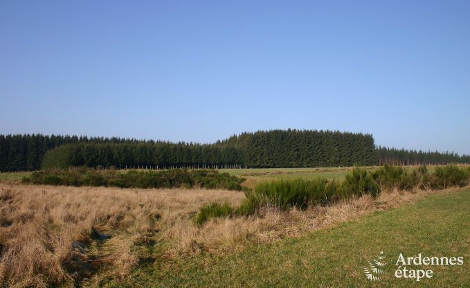 Holiday cottage in Leglise for 32 persons in the Ardennes