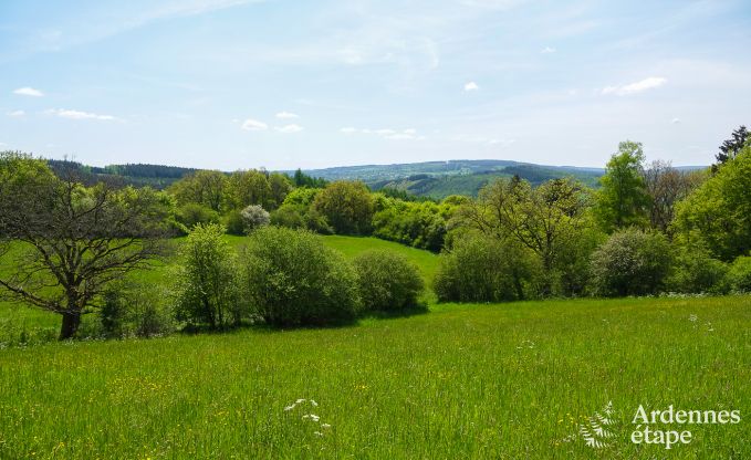 Spacious villa for 12 people in Lierneux.