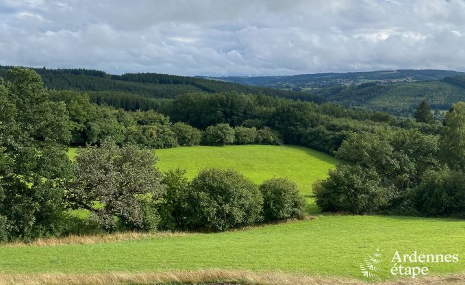 Spacious villa for 12 people in Lierneux.