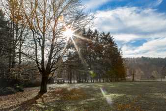 Charming holiday home for 8 people in Momignies in the heart of a classified forest