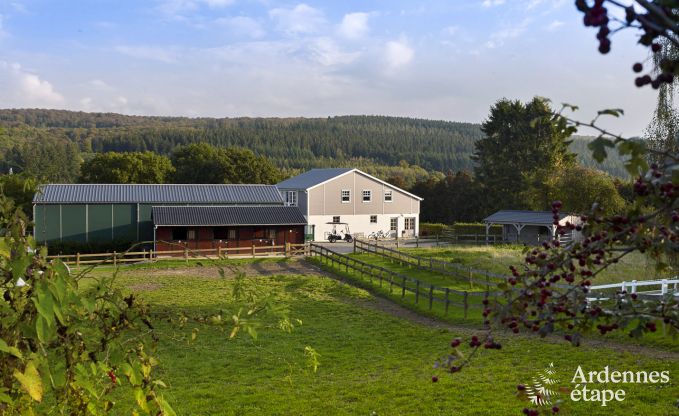 Holiday on a farm in Nassogne for 4 persons in the Ardennes