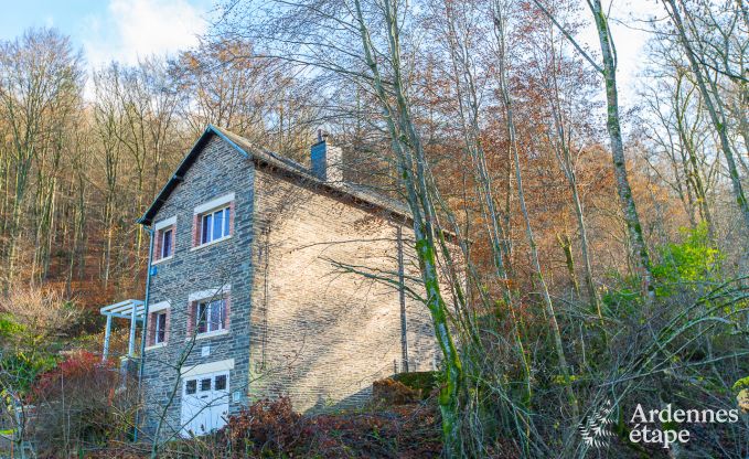 Holiday home in Poupehan for 8 people in the Ardennes