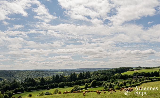 Modern holiday home with 5 bedrooms in Rochehaut, Ardennes