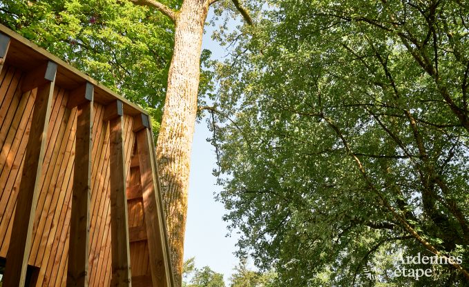 Remote chalet by pond in Saint-Hubert, Ardennes