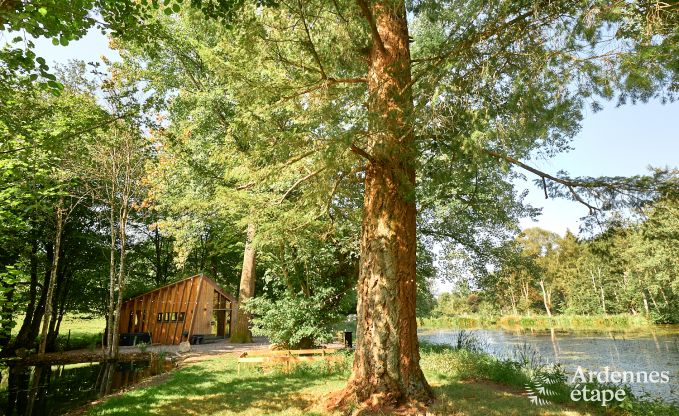 Remote chalet by pond in Saint-Hubert, Ardennes