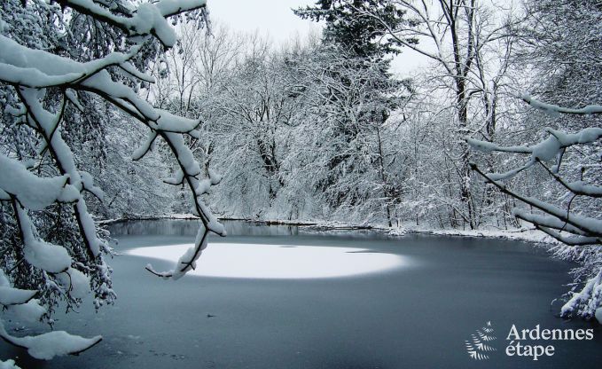 Remote chalet by pond in Saint-Hubert, Ardennes