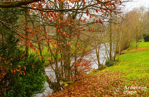 Holiday home in Sainte-Ode: haven of peace in the Ardennes for 6 people with modern amenities