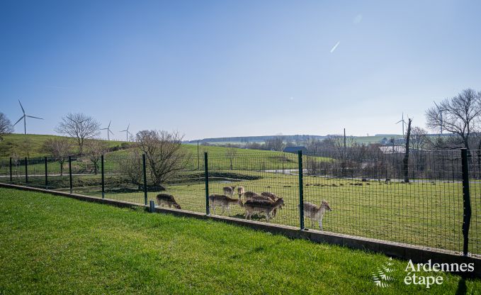 Luxurious and dog-friendly holiday home with swimming pool in Sainte-Ode, Ardennes