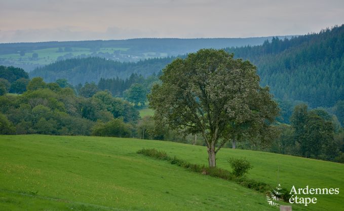 Cozy chalet for 4 people in Stavelot, High Fens