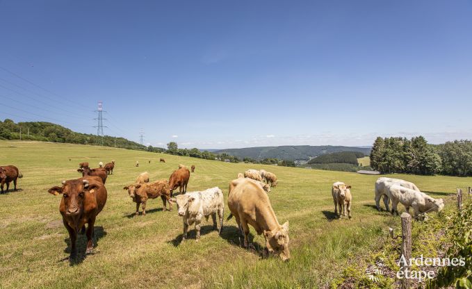 Exceptional in Trois-Ponts for 4 persons in the Ardennes