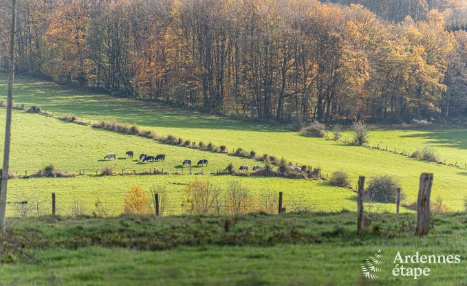 Chalet in Vencimont for 10 persons in the Ardennes