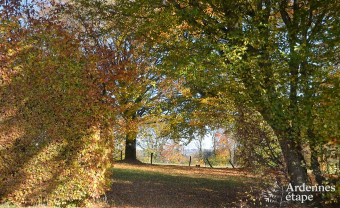 Holiday cottage in Waimes for 8 persons in the Ardennes