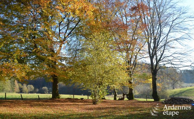 Holiday cottage in Waimes for 8 persons in the Ardennes